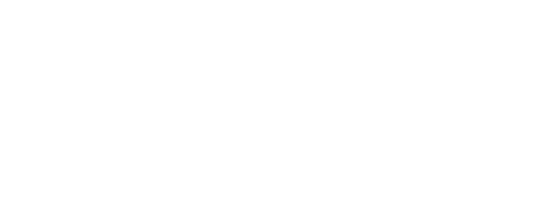 MVFNET
